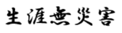 生涯無災害
